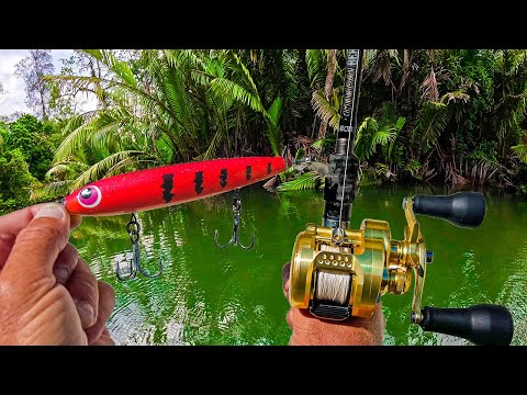 The Worlds STRONGEST Fish - Day 1 at Baia Lodge PNG