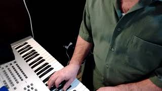 You Tripped At Every Step by Elvis Costello