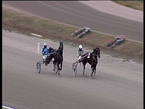 Trotto 08/01/2019 - 2ª prova di qualifica