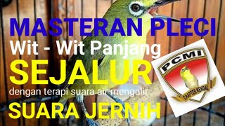 Download lagu Jos Masteran Pleci Nembak Wit-Wit Sejalur Dengan Terapi Suara Air Mengalir di alam mp3