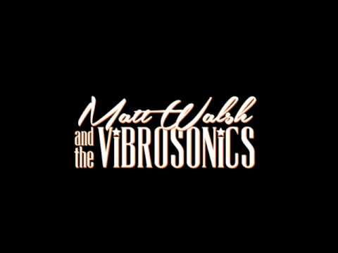 Matt Walsh & The Vibrosonics (use for promotion only)