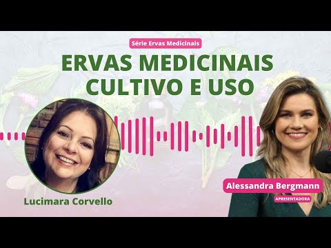 Programa Campo e Batom - Ervas Medicinais - Uso e Cultivo