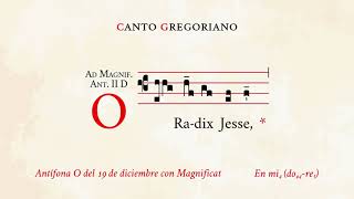 O Radix Jesse & Magnificat Music Video