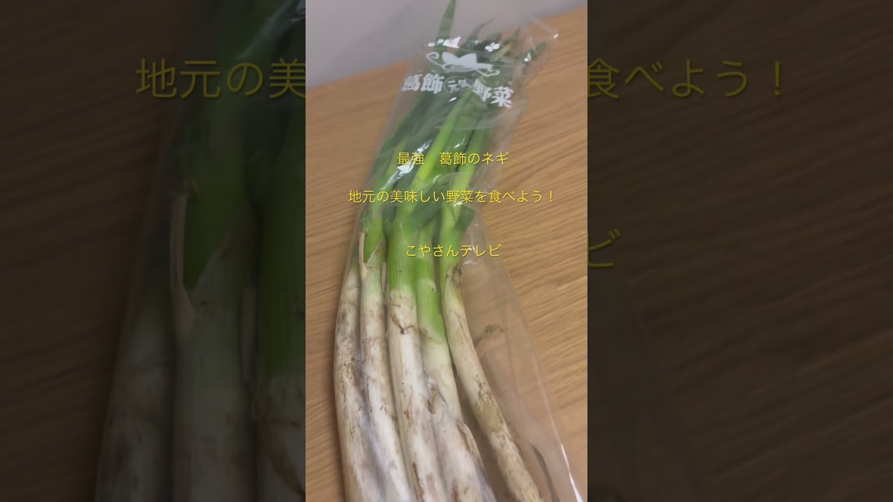 家庭料理が長寿を導く！シリーズ第75弾！地元の最強ネギ食べよう！#️⃣こやさんテレビ　#️⃣健康アドバイザー　#️⃣社会人生活43年無遅刻無欠席達成 #⃣旅行アナリスト #cooking #料理