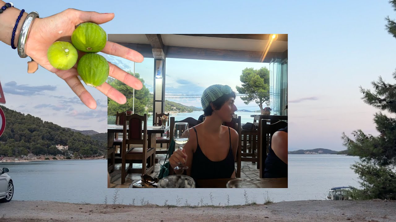 between fig trees and wine