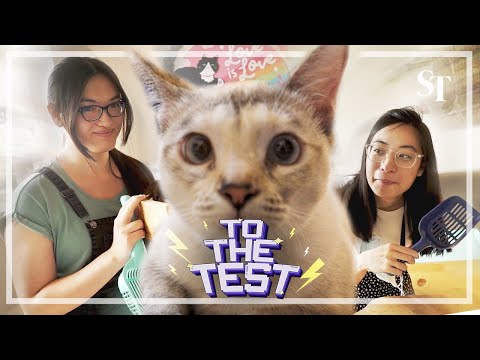 Can these cat litter boxes cut down on cleaning? | To The Test | Ep6