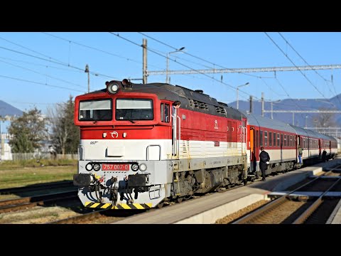 Züge Martin ● 21.11.2020