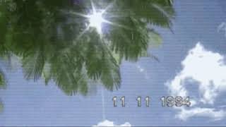 삐까삐까 스프링 - ✮ ⋆ ˚｡✩