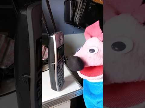 Hacemos enojar a otro extorsionador