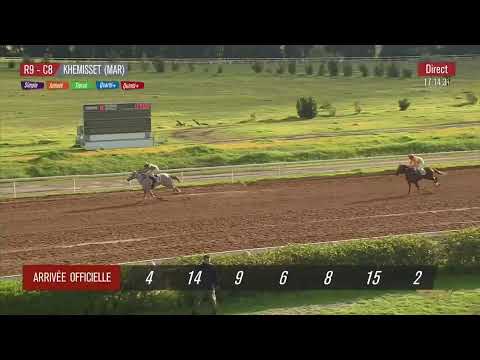 Live Hippodrome « KHEMISSET» Courses du « 10/02/2026 »