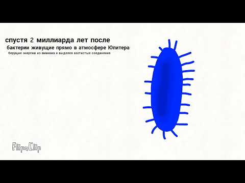 Биосфера на Юпитере /спекулятивная биология инопланетная биосфера 3 часть 