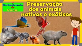 Animais nativos e exóticos. Preservação e extinção. Ensino Fundamental.