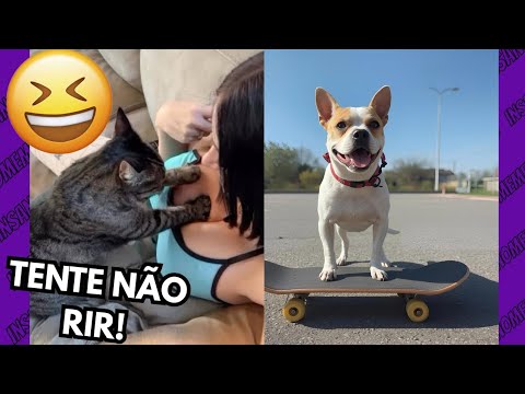 TENTE NÃO RIR IMPOSSÍVEL! ANIMAIS MAIS ENGRAÇADOS PARA RIR #2