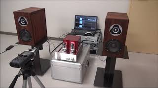 Video thumbnail for JJ-803S-G vs MATUSHITA 12AX7Ⓣ by seas- lyd