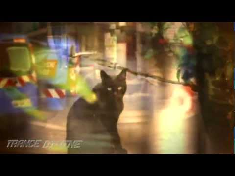 download lagu mp3 mp4 Fanatic Emotions A Dream About You 2012, download mp3 Fanatic Emotions A Dream About You 2012 free download mp3, download mp3 Fanatic Emotions A Dream About You 2012