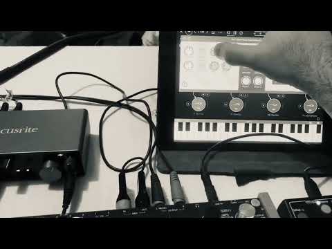 Splendid FAC Alteza Shimmer Reverb