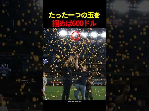 たった一つの玉を掴めば600ドル