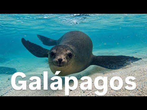 GALÁPAGOS 🇪🇨| Visual Guide | 1 week Itinerary 