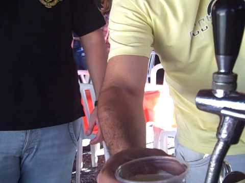 FESTA HOLANDA VEICULOS 3