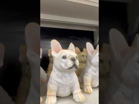 #hiphop #dog #viralshort #fyp #short #parati #animals #pets