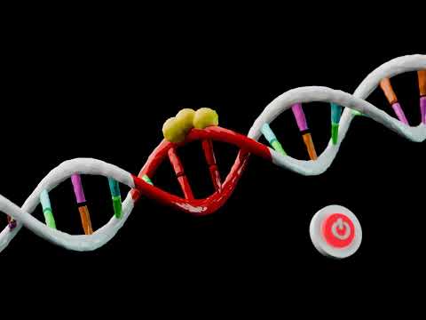 Epigenetics and epigenetic changes
