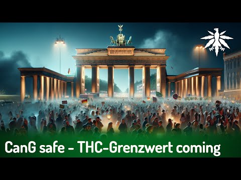 CanG safe - THC-Grenzwert coming | DHV-News # 415
