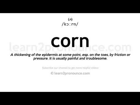 Pronunciation of Corn | Definition of Corn