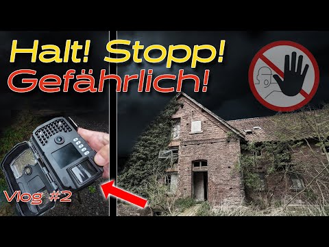 Wildlife camera footage from an abandoned location analyzed! - Shocking findings