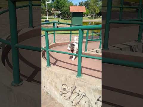 parque de la agricultura ubicado en esperanza santa fé