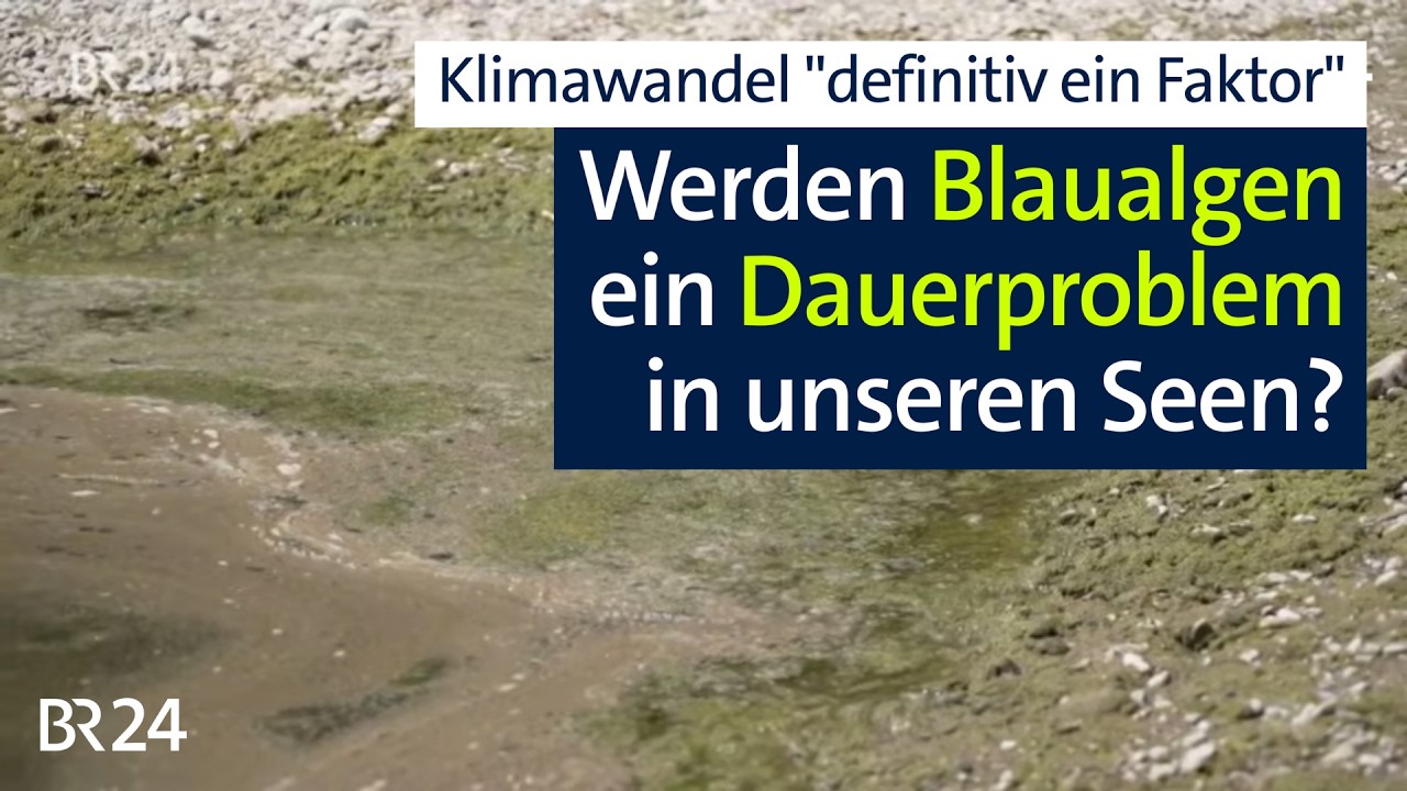 Faktor Klimawandel: Blaualgen – jetzt ein Dauerproblem in unseren Gewässern? | Abendschau | BR24
