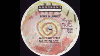 Peter Murphy - Should The World Fail To Fall Apart (Version) (B)