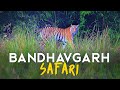 EP 01 Magadhi Zone Safari Bandhavgarh Tiger Reserve 4K Video