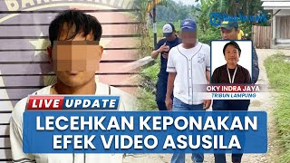 Efek Sering Nonton Film Dewasa, Pria di Pringsewu Lampung Tega Berbuat Asusila pada Keponakan Sendir
