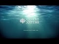 COAST NATURE Endless Beauty TVC