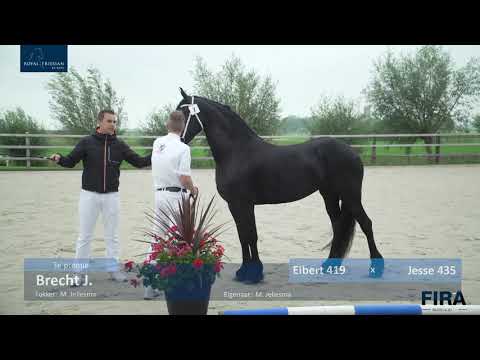 Locatiekeuring Stal Chardon 9-9-2020