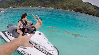 🐬 MAN FALLS OFF JET SKI INTO SHARK INFESTED WATERS 🦈