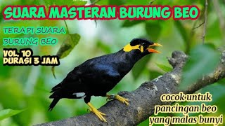 Download lagu Suara Masteran Burung Beo Durasi 3 Jam Cocok Untuk... mp3