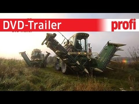 David gegen Goliath: Krone