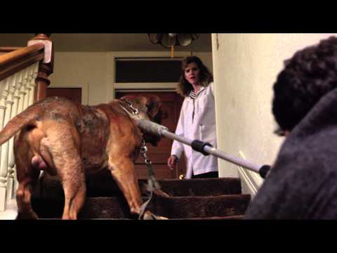 Turner & Hooch (1989) Official Trailer