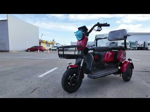 Maxxter ANT