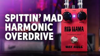 Video thumbnail for Way Huge Red Llama Overdrive MkIII Smalls Pedal Demo by Sweetwater