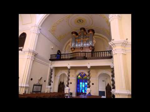 Clemens Non Papa: Pater Peccavi