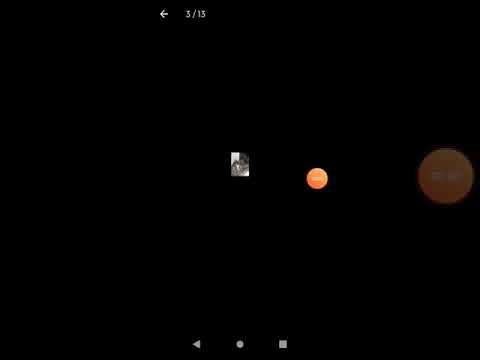 Câine de ne stapanit