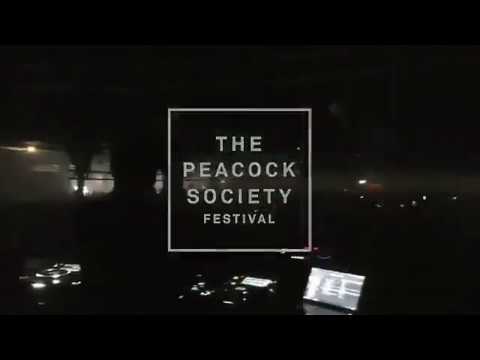 Laurent Garnier plays Theobald Ringer @ The Peacock Society, Paris [France]