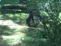 BronxZoo