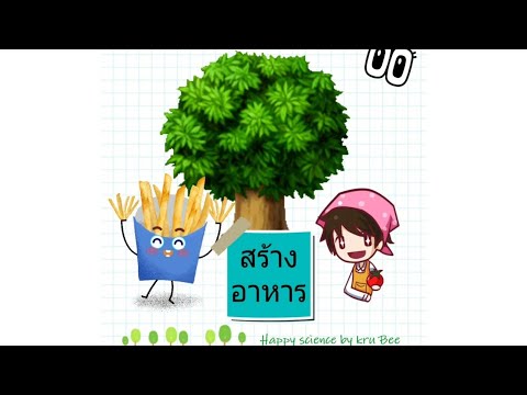 น้ำอสุจิและความอ่อนแอ น้ำว่านหางจระเข้ที่มีความแข็งแรงเพิ่มขึ้น