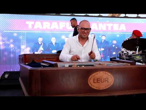 Taraful Cantea   Nunta Geanina & Silviu