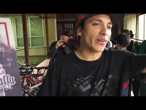 Racek en la universidad austral (Valdivia)