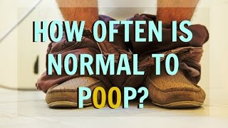 How Often Is Normal To Poop? POO FACTS!