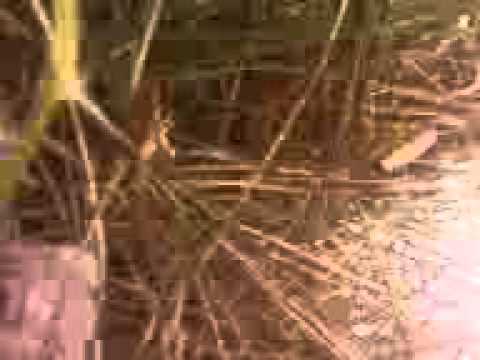 Wypadek w Koloni Bończy- miejsce wypadku